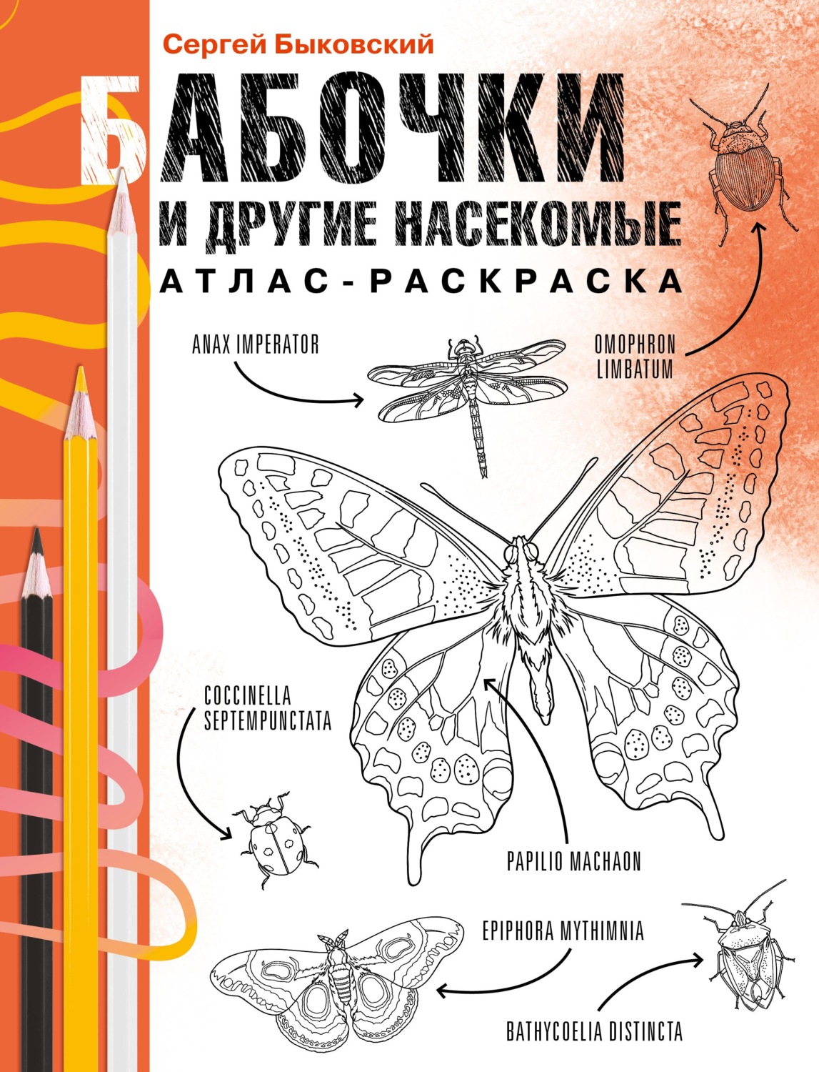 Обложка книги «Бабочки и другие насекомые. Атлас-раскраска»