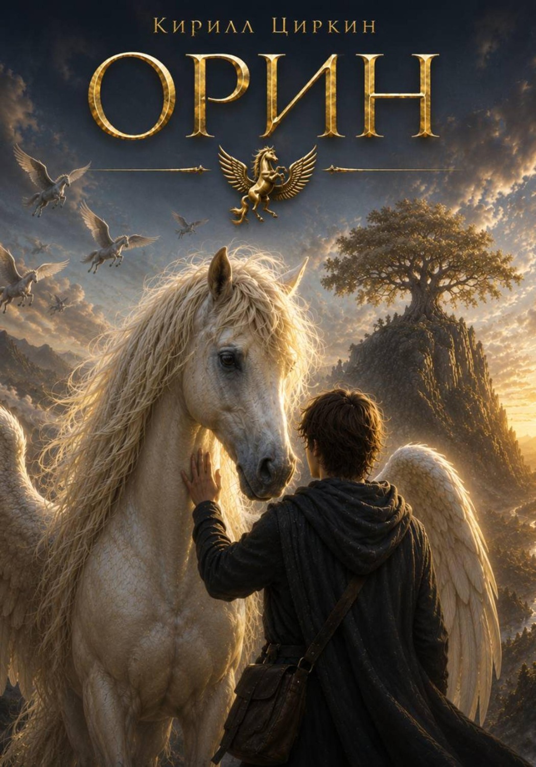 Обложка книги «Орин»