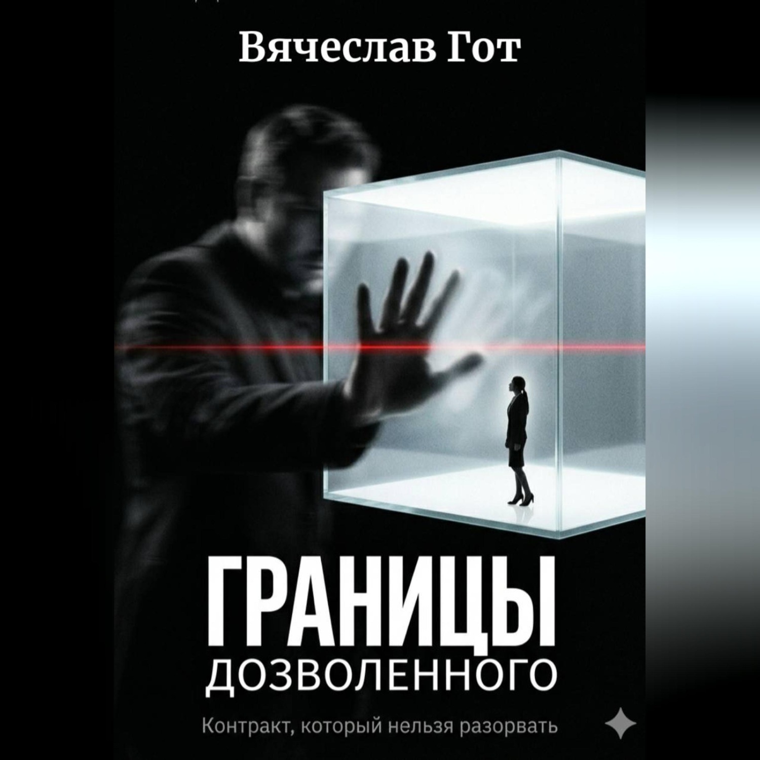 Обложка книги «Границы дозволенного»