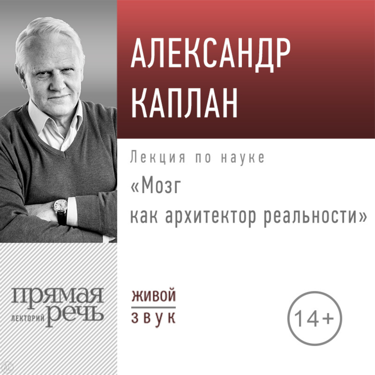Обложка книги «Лекция «Мозг как архитектор реальности»»