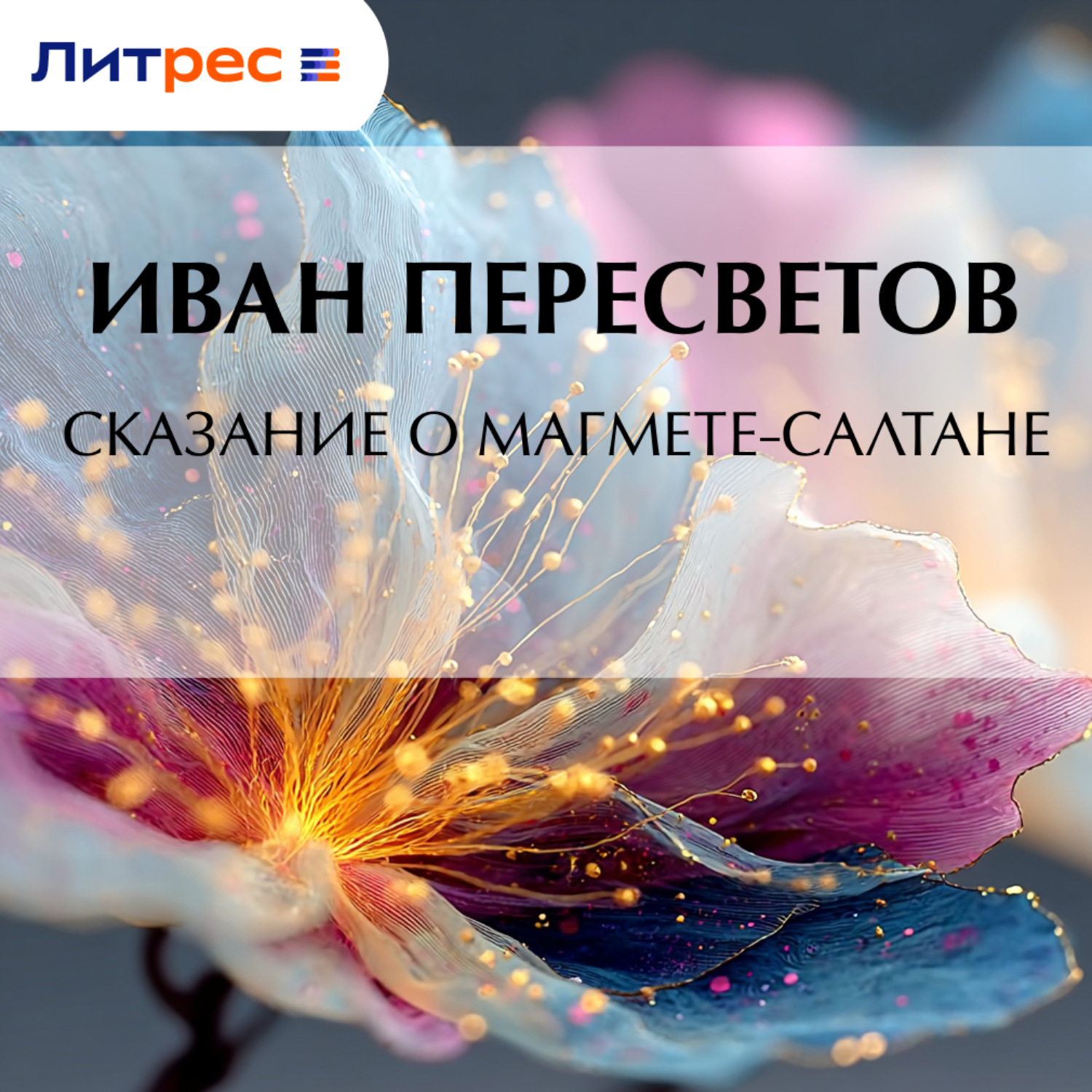 Обложка книги «Сказание о Магмете-салтане»