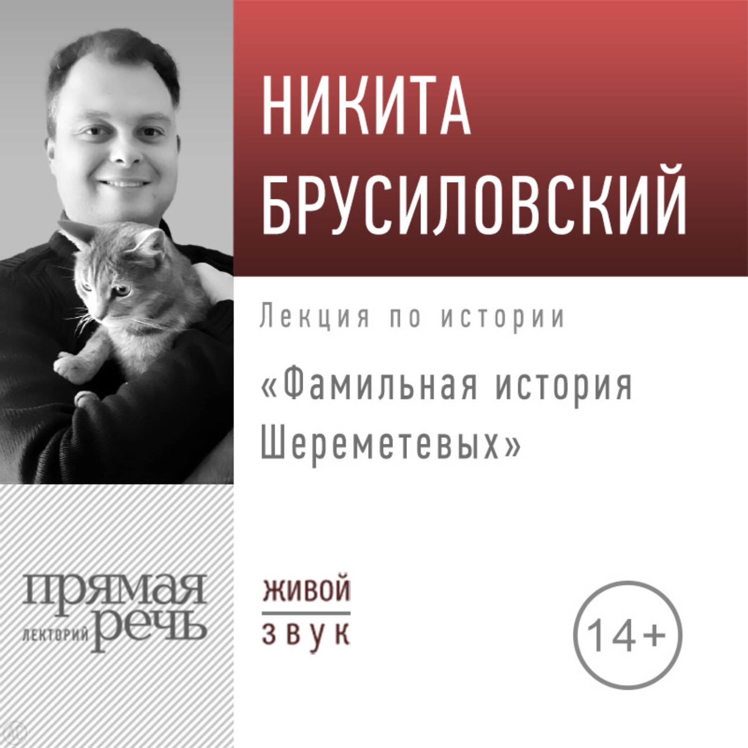 Обложка книги «Лекция «Фамильная история Шереметевых»»