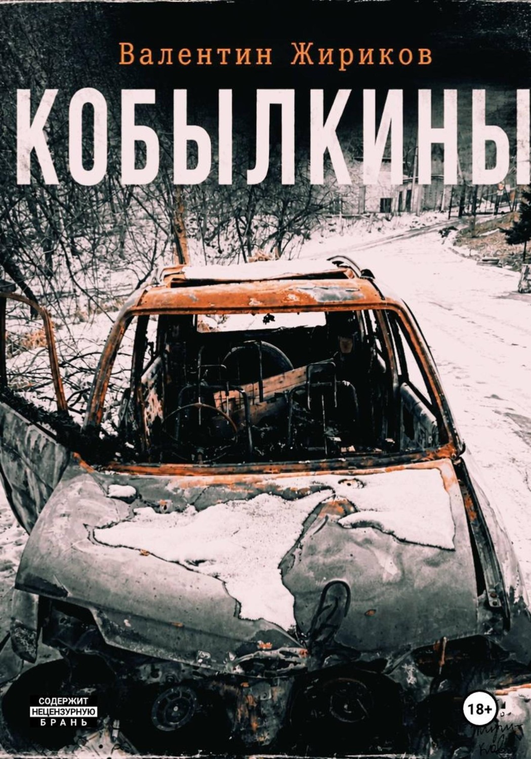 Обложка книги «Кобылкины»