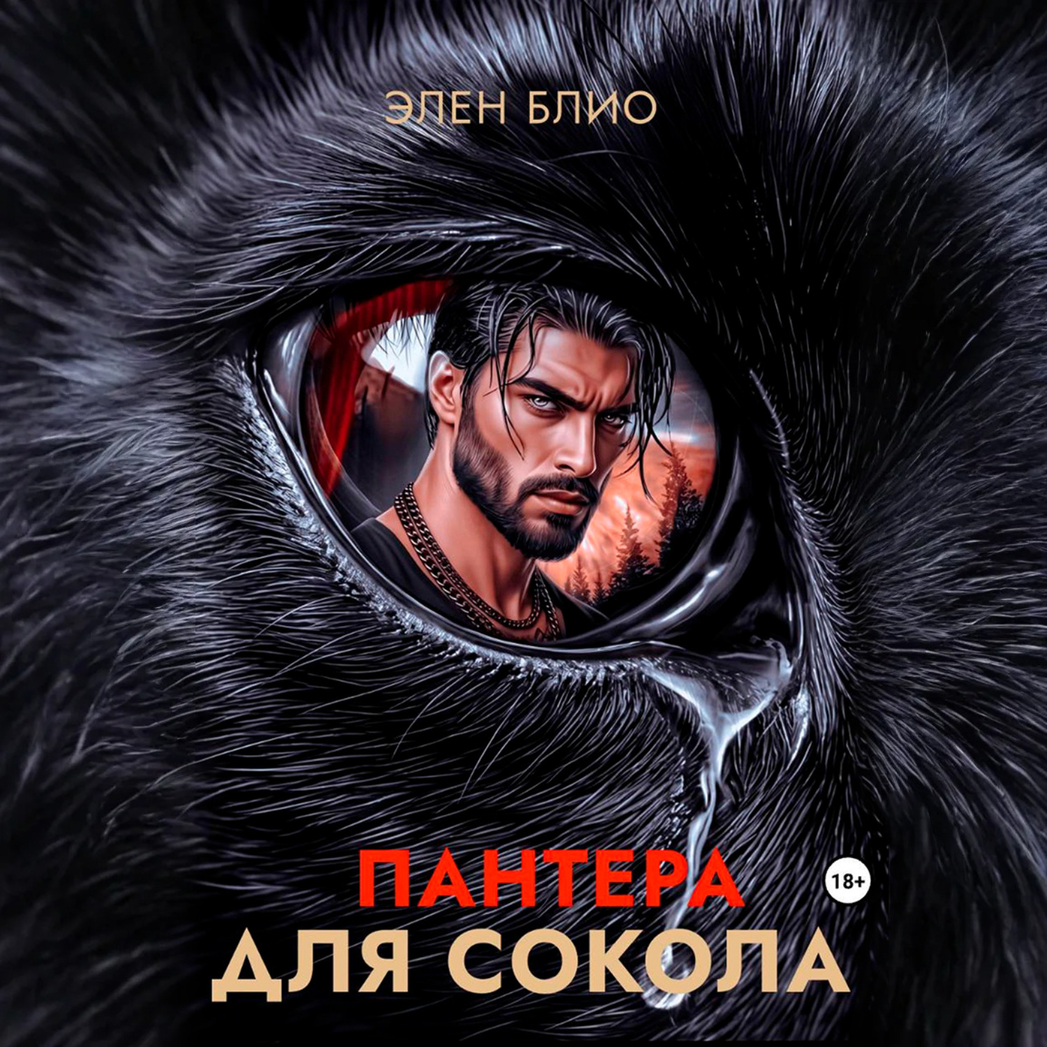 Обложка книги «Пантера для сокола»