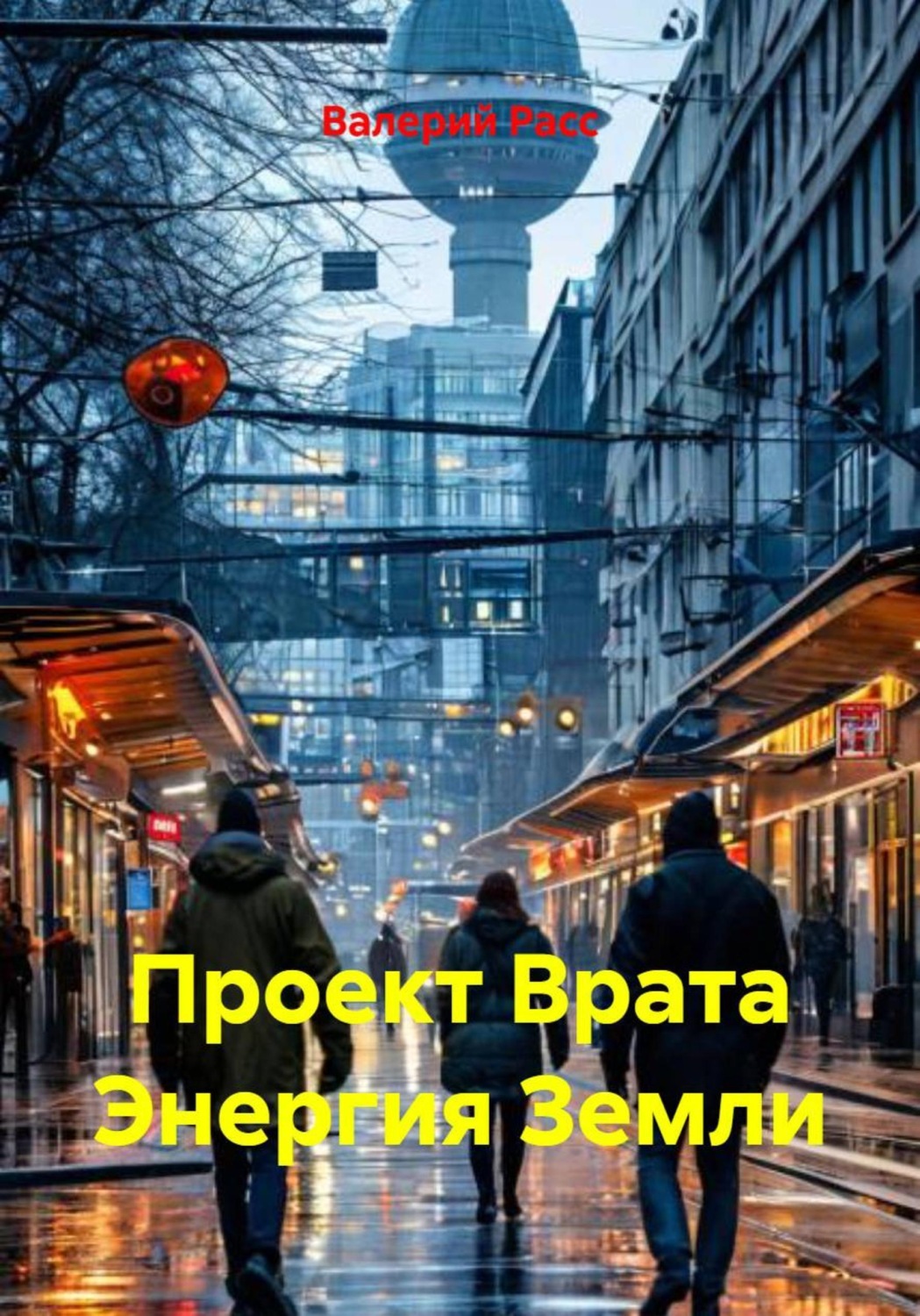 Обложка книги «Проект "Врата энергия Земли"»