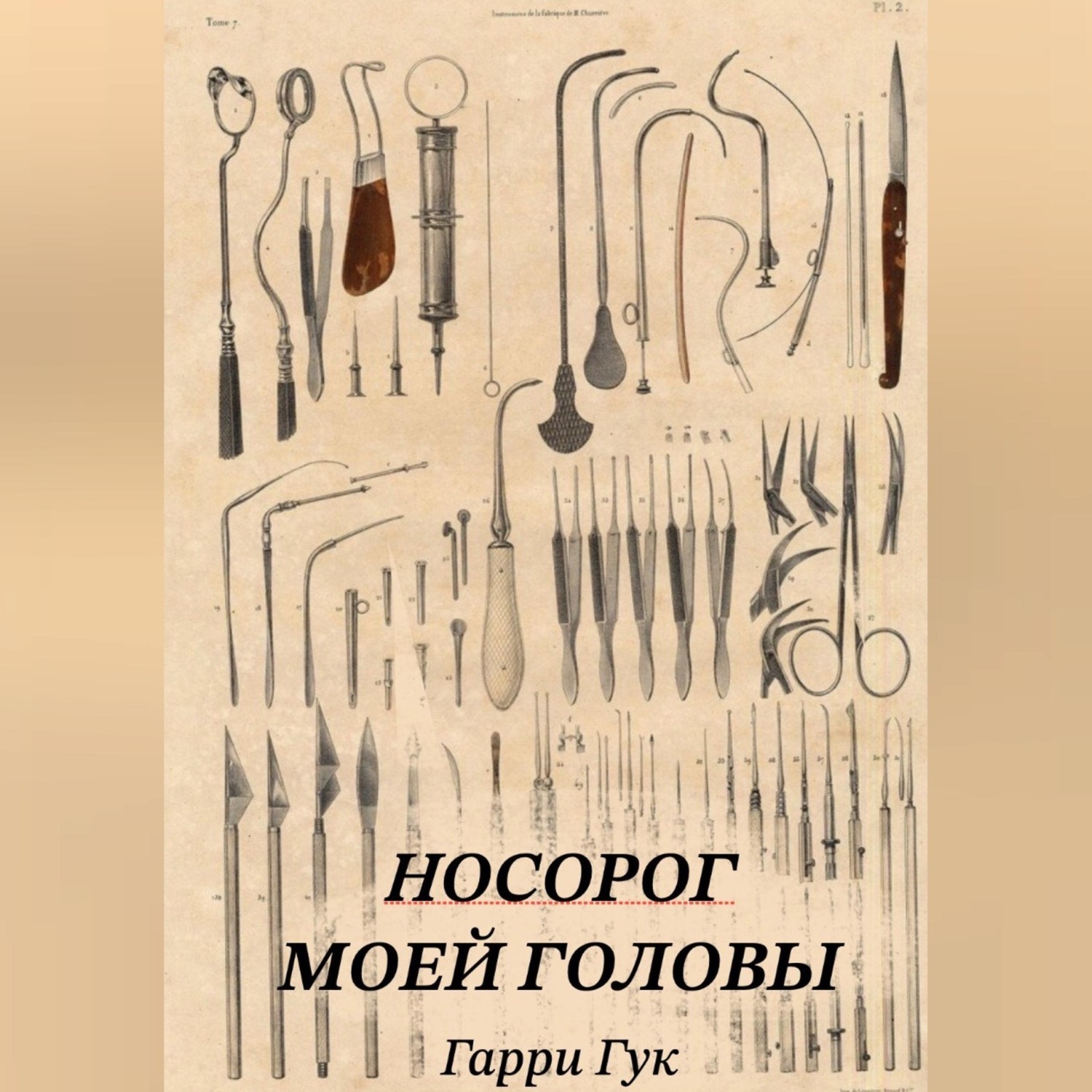 Обложка книги «Носорог моей головы»