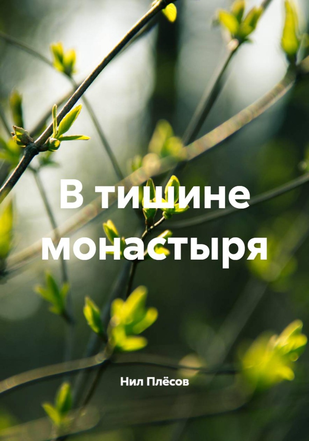 Обложка книги «В тишине монастыря»