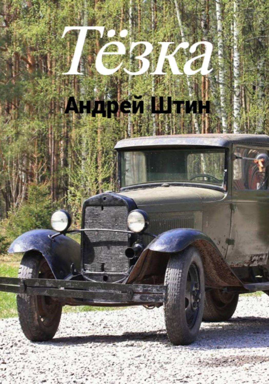 Обложка книги «Тёзка»