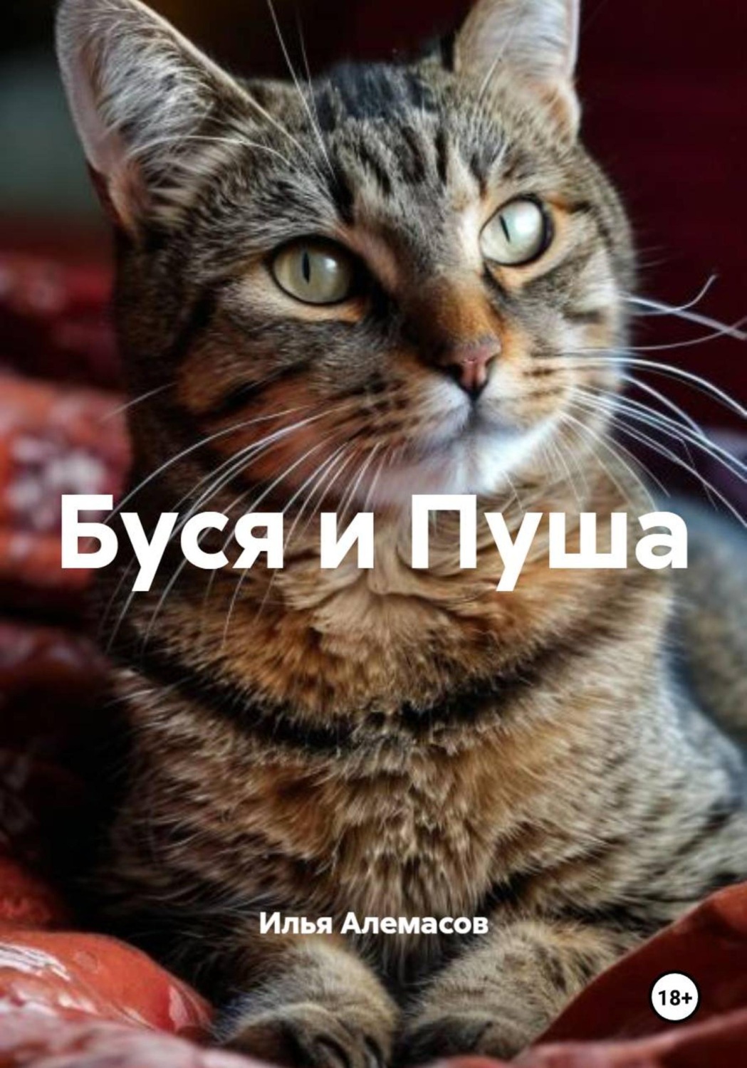 Обложка книги «Буся и Пуша»