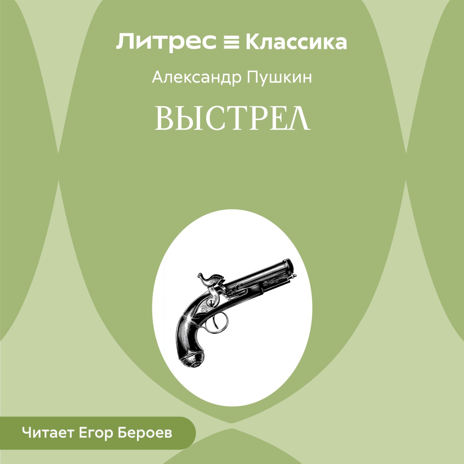 Обложка книги «Выстрел»