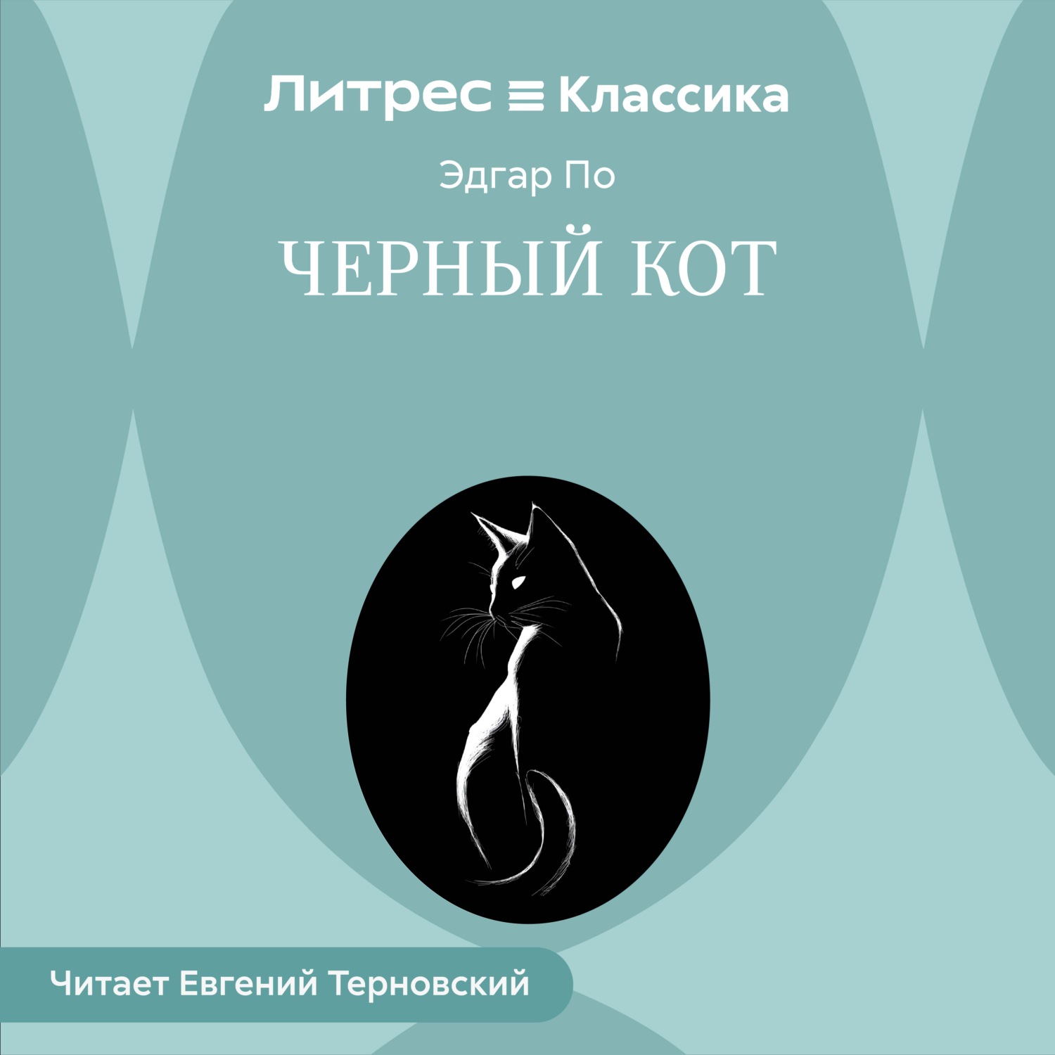 Обложка книги «Черный Кот»