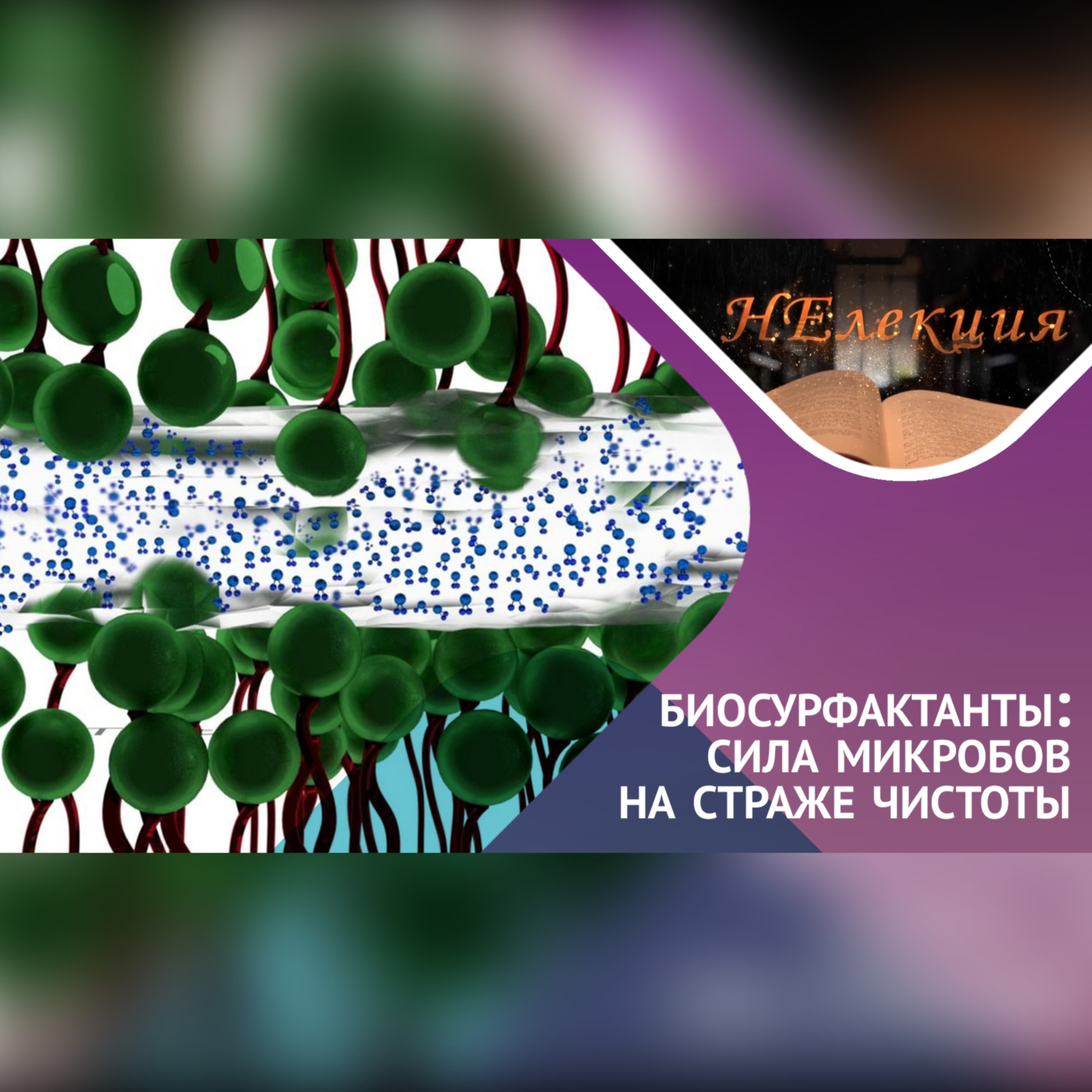 Обложка книги «Биосурфактанты, что это за «ЗВЕРЬ»?»