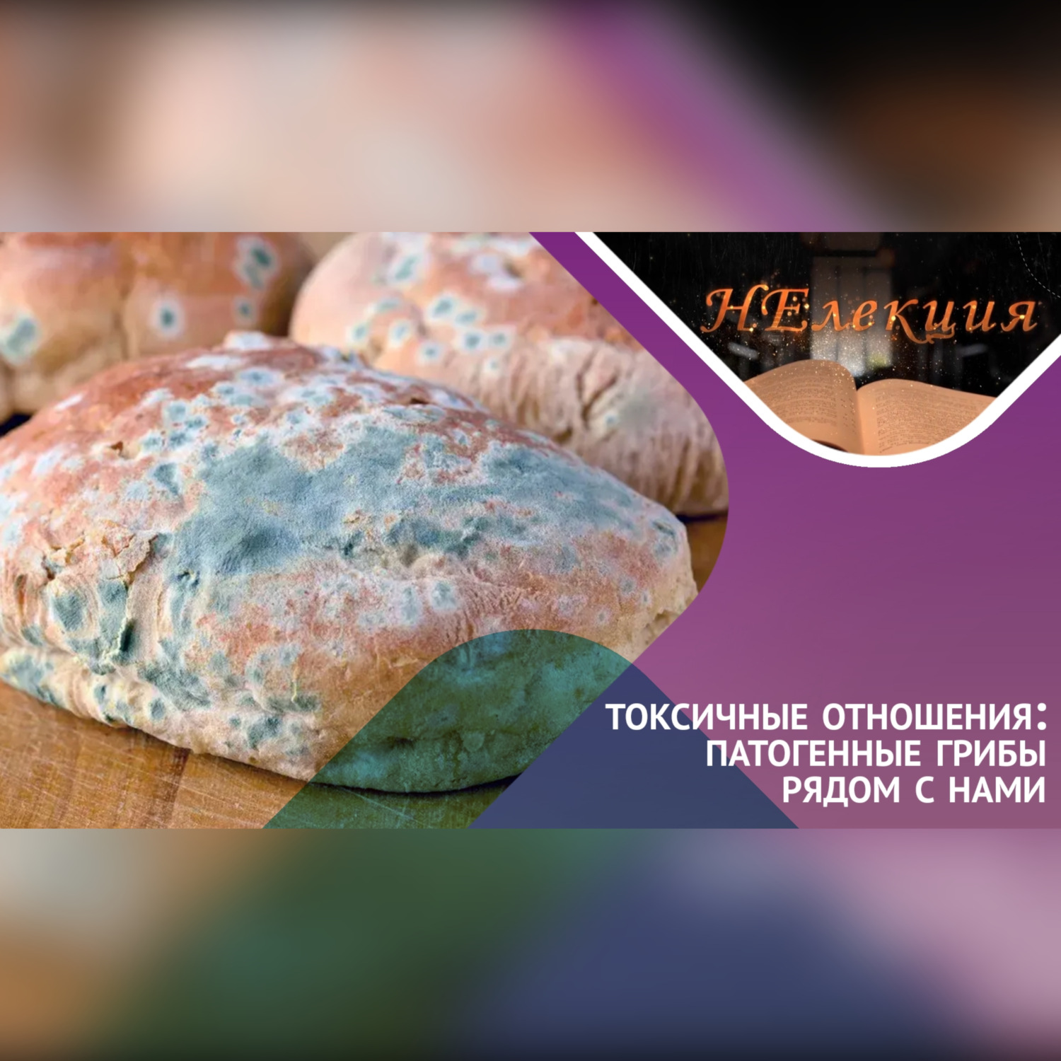 Обложка книги «ТОКСИЧНЫЕ ОТНОШЕНИЯ… с грибами»