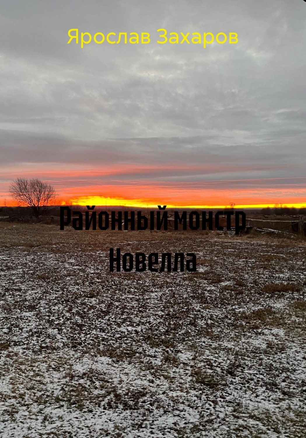Обложка книги «Районный монстр Новелла»