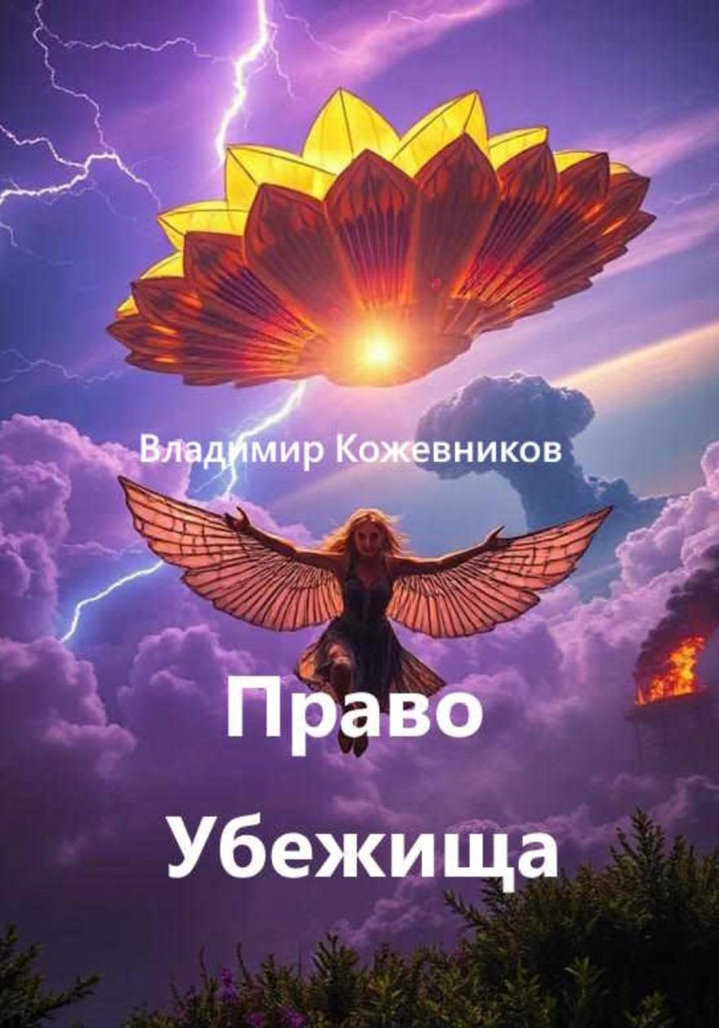 Обложка книги «Право Убежища»