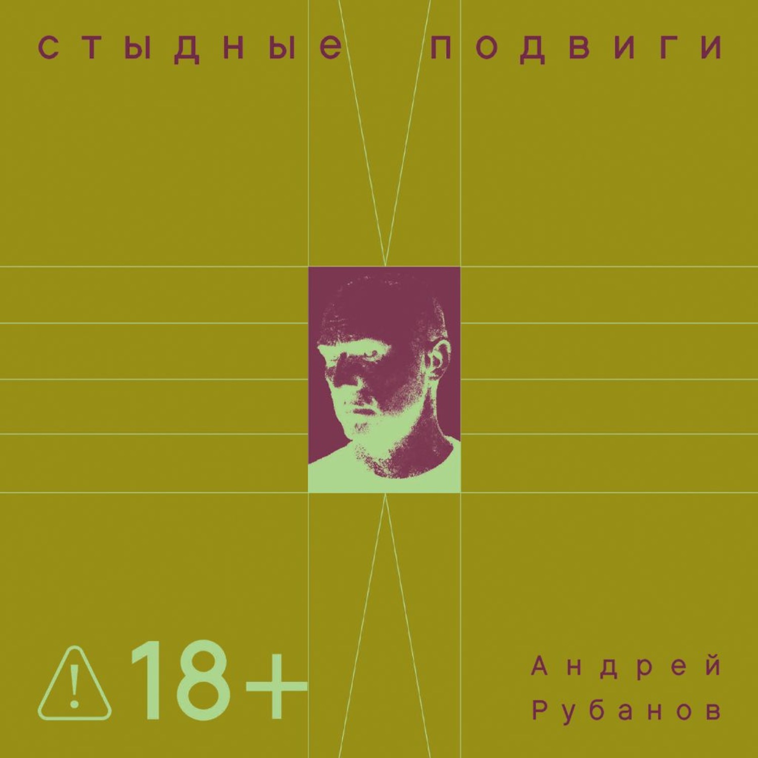 Обложка книги «Стыдные подвиги»