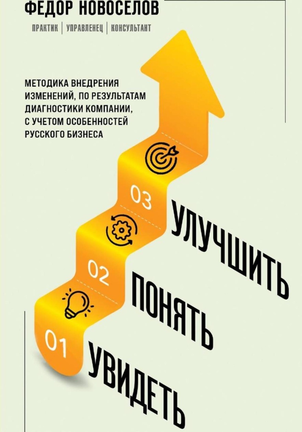 Обложка книги «Увидеть. Понять. Улучшить. Методика внедрения изменений по результатам диагностики компании, с учетом особенностей русского бизнеса»