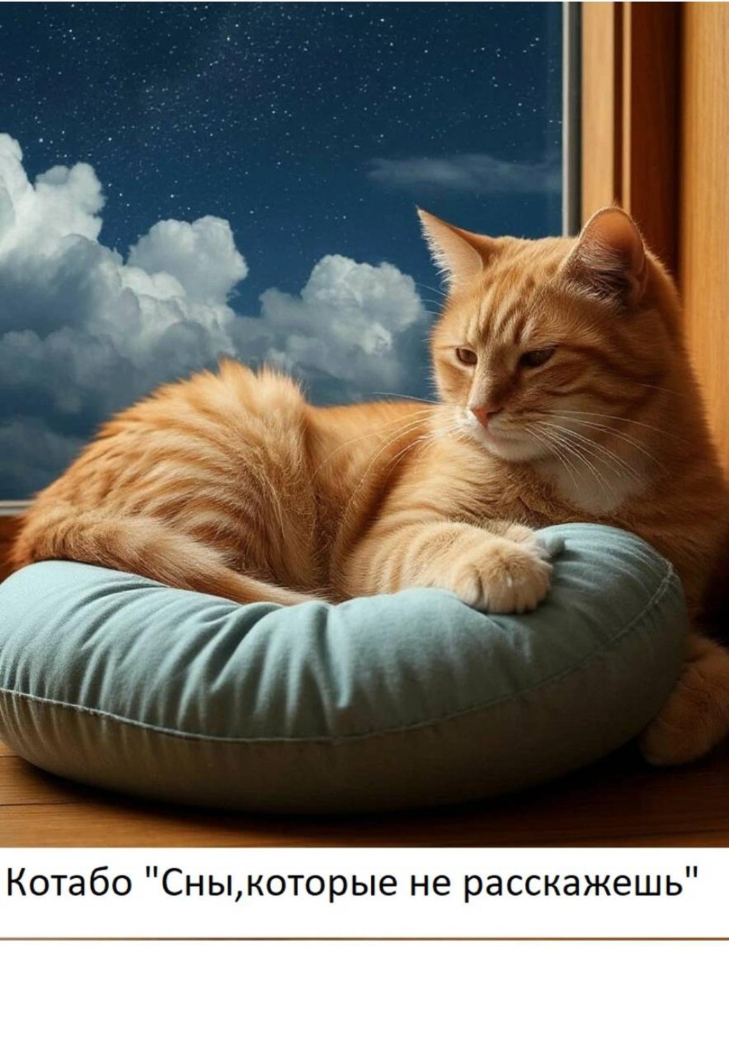 Обложка книги «Сны, которые не расскажешь»