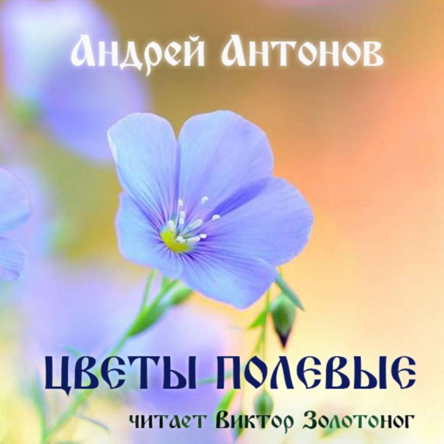 Обложка книги «Цветы полевые»