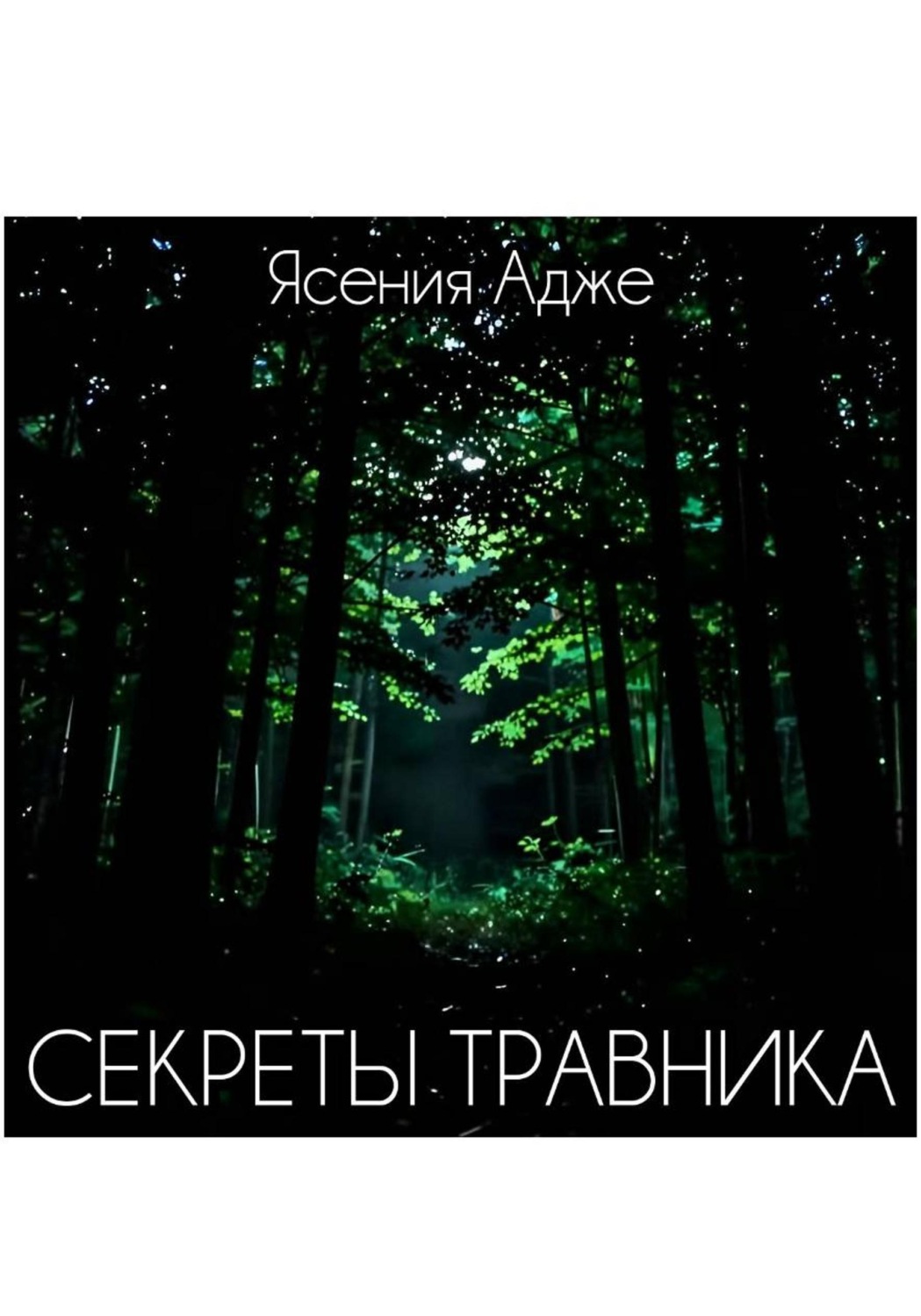 Обложка книги «Секреты травника»