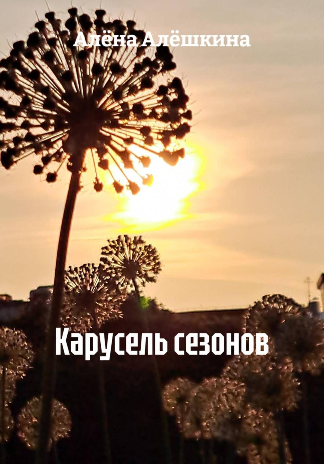 Обложка книги «Карусель сезонов»