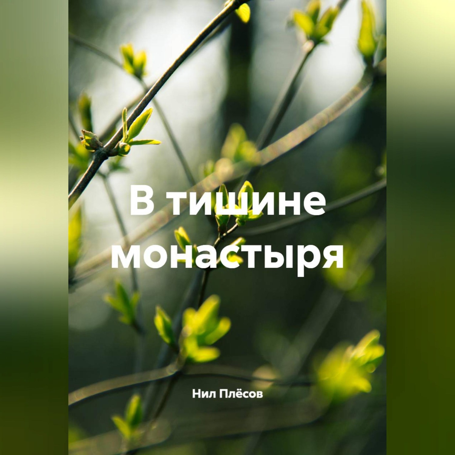 Обложка книги «В тишине монастыря»
