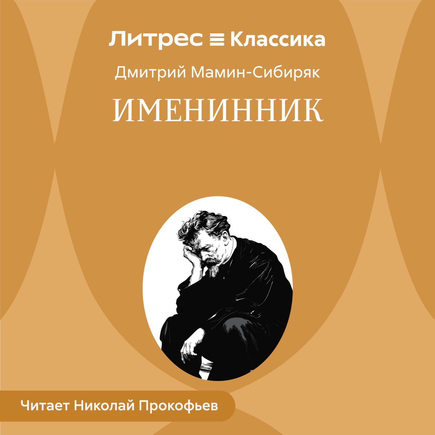 Обложка книги «Именинник»