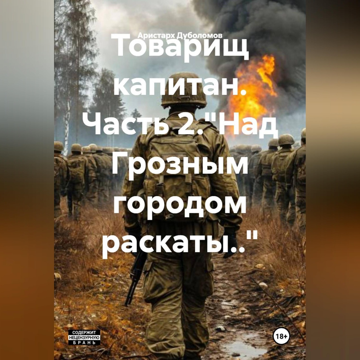 Обложка книги «Товарищ капитан»