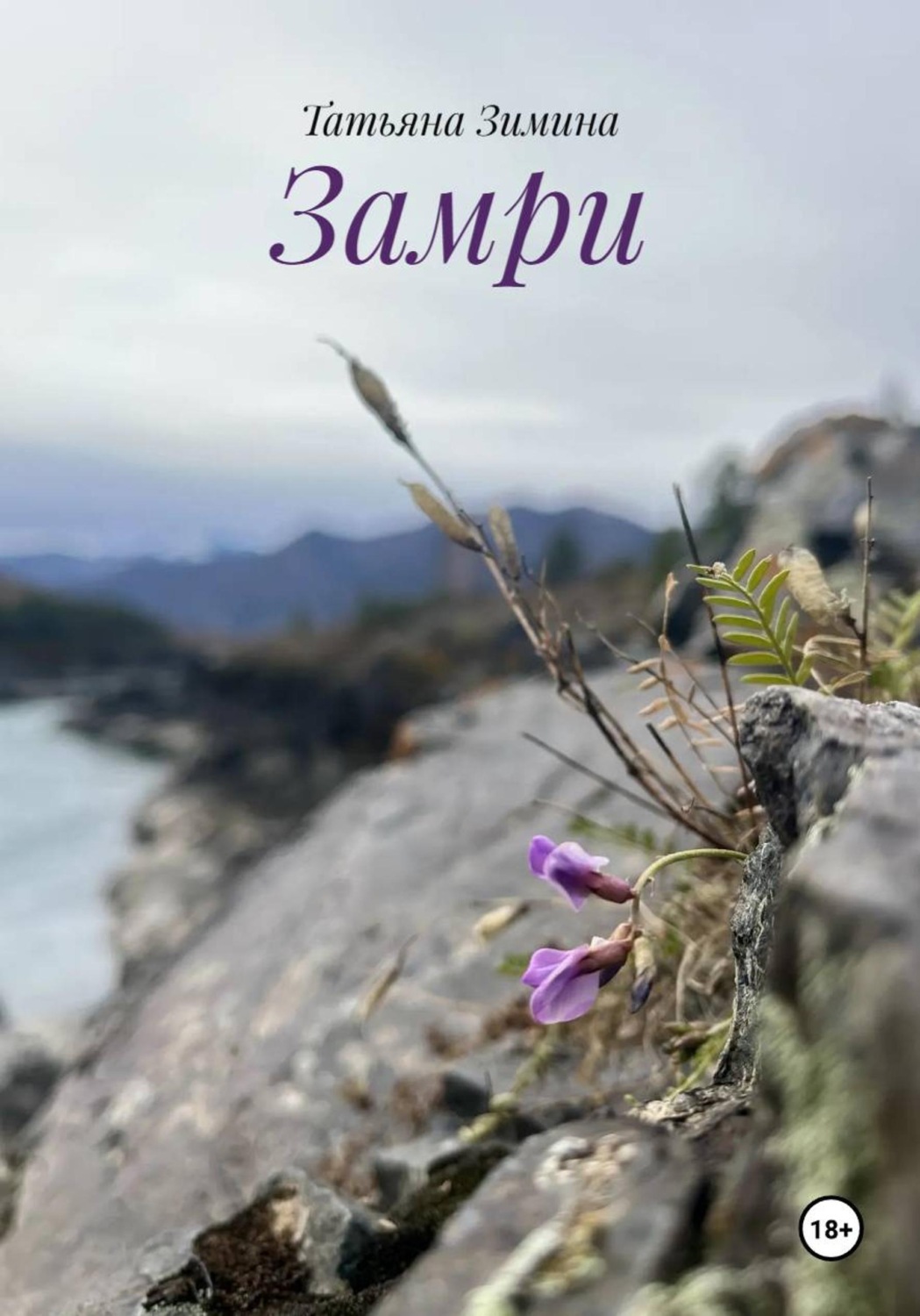 Обложка книги «Замри»