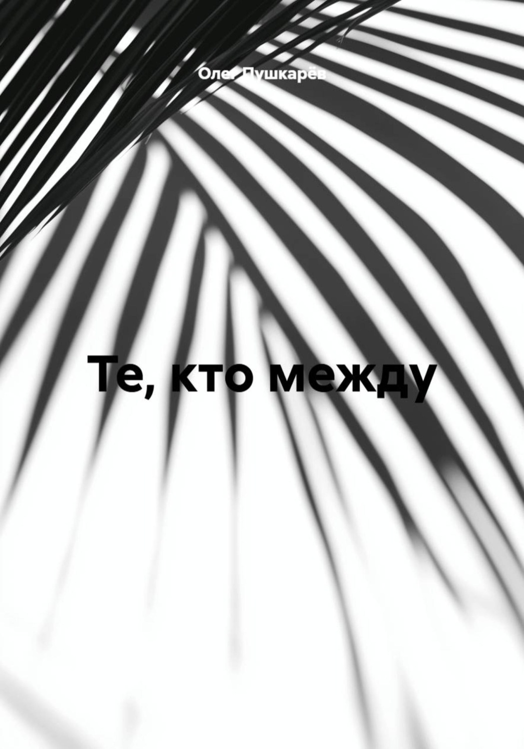 Обложка книги «Те, кто между...1»