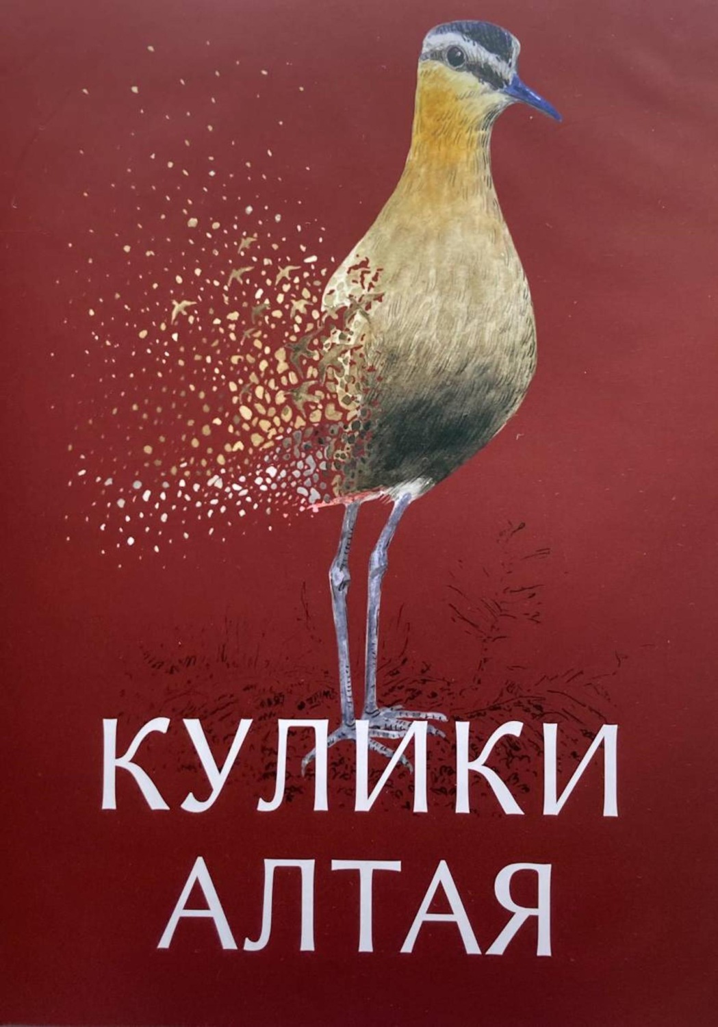 Обложка книги «Кулики Алтая»