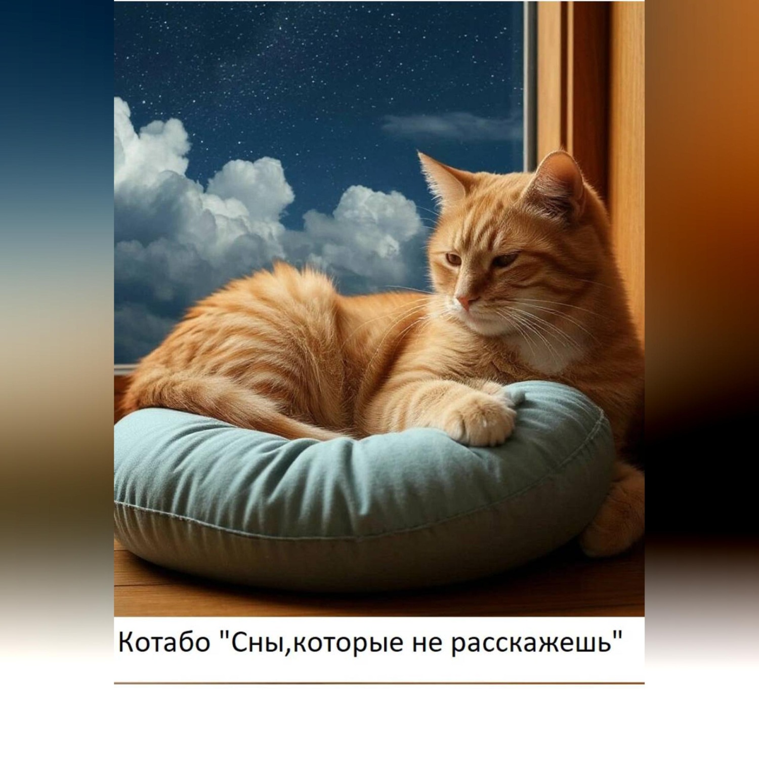 Обложка книги «Сны, которые не расскажешь»