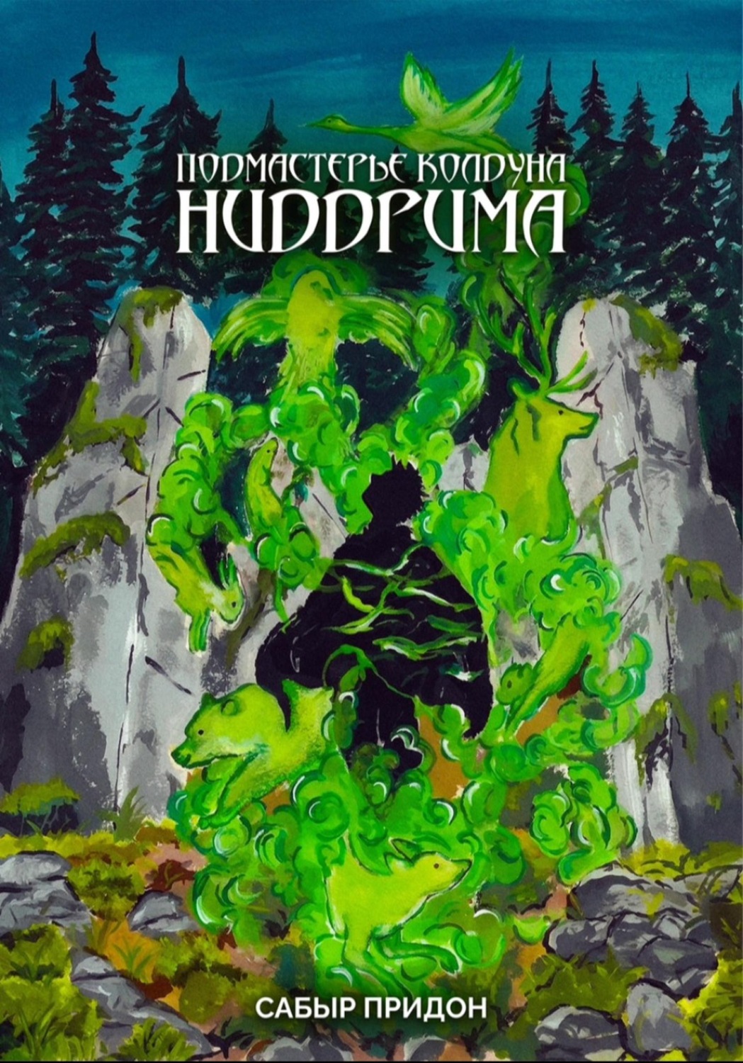 Обложка книги «Подмастерье колдуна Ниддрима»