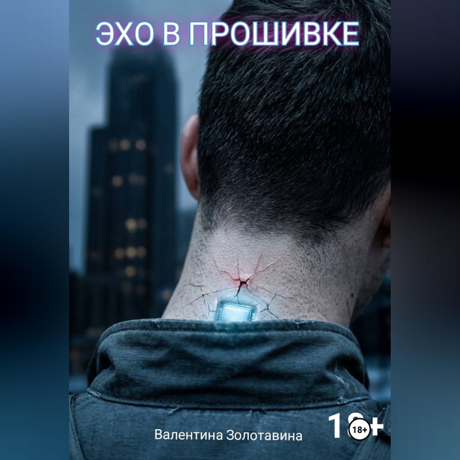 Обложка книги «Эхо в прошивке»