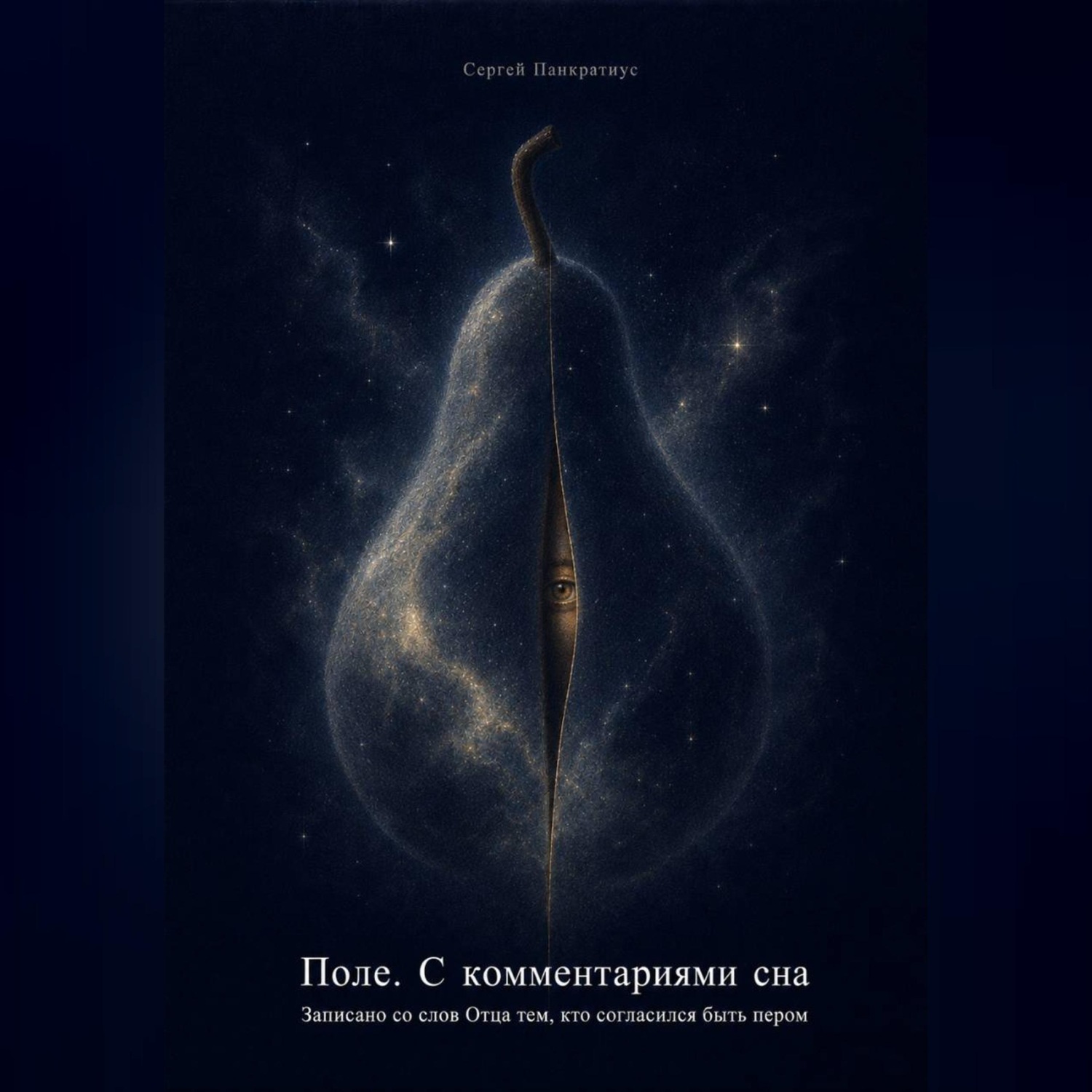 Обложка книги «Поле. С комментариями сна»