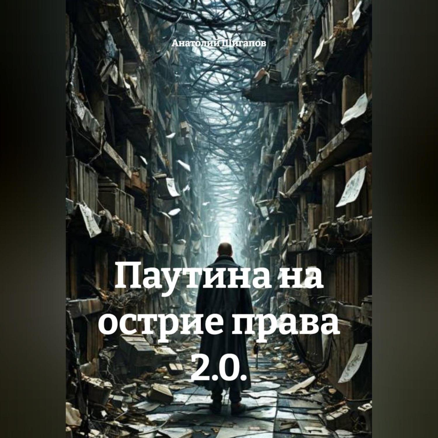 Обложка книги «Паутина на острие права 2.0.»