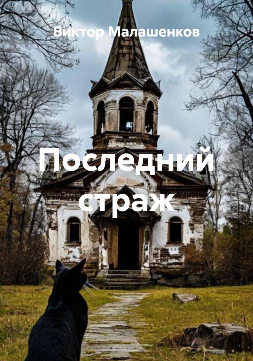 Обложка книги «Последний страж»