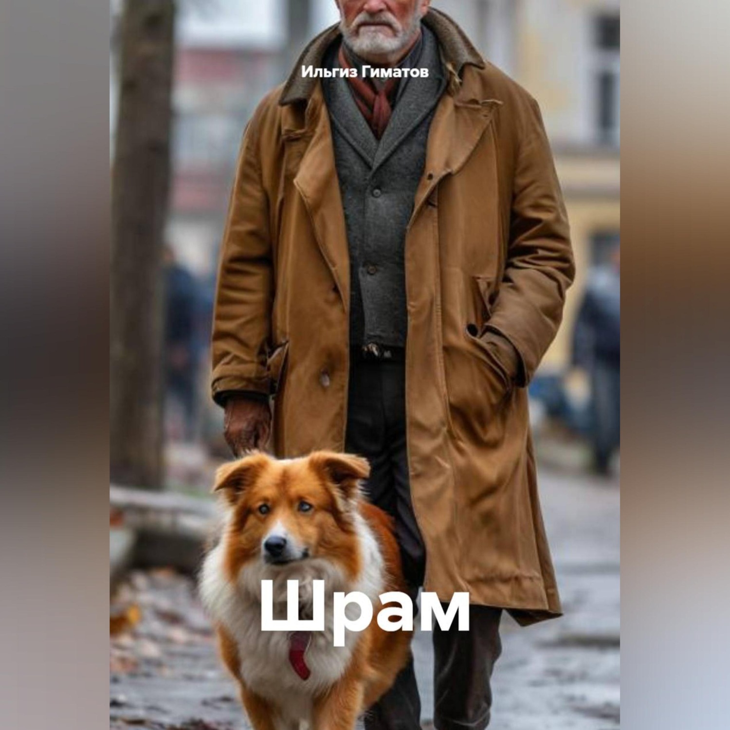 Обложка книги «Шрам»