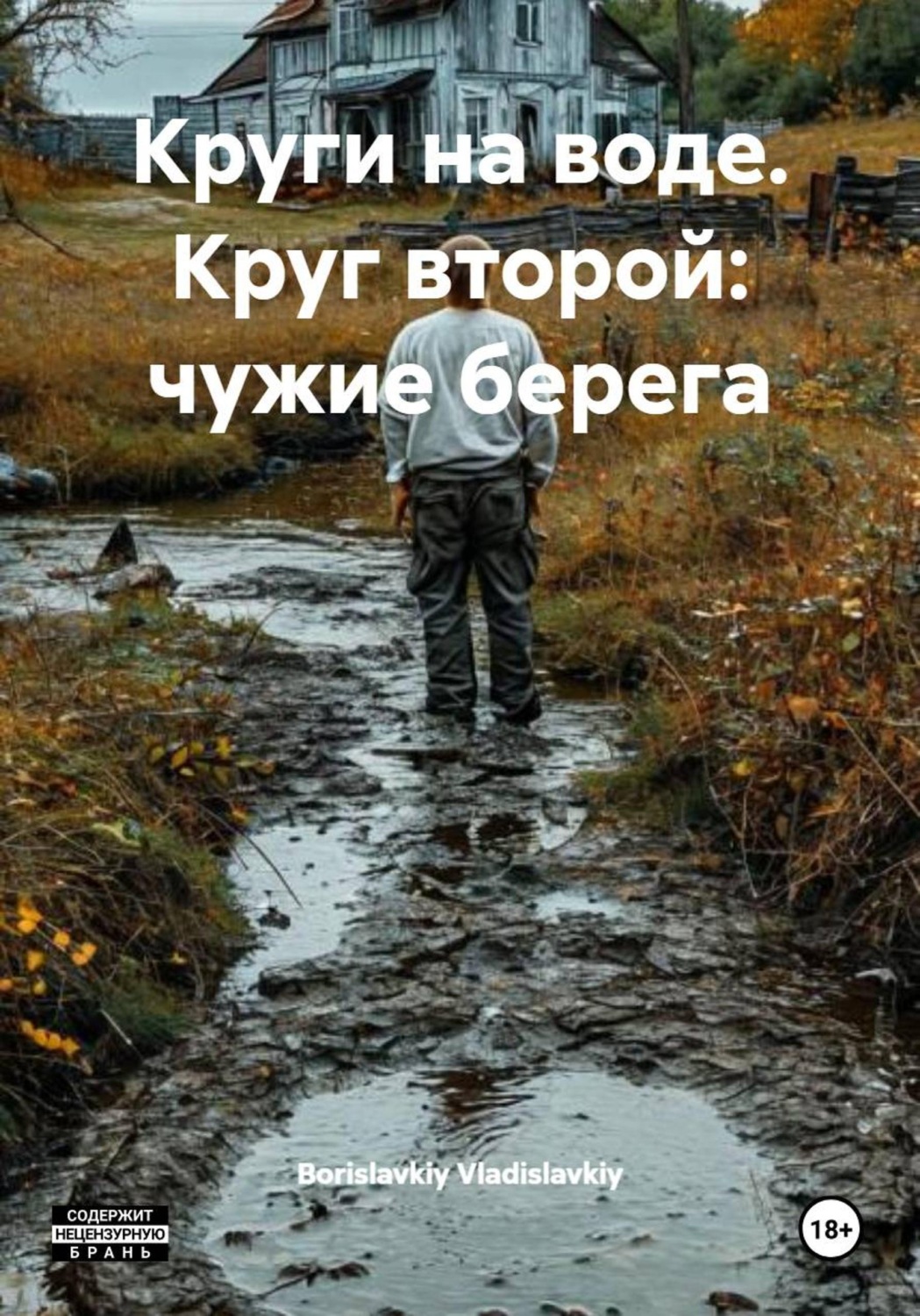 Обложка книги «Круги на воде. Круг второй: чужие берега»
