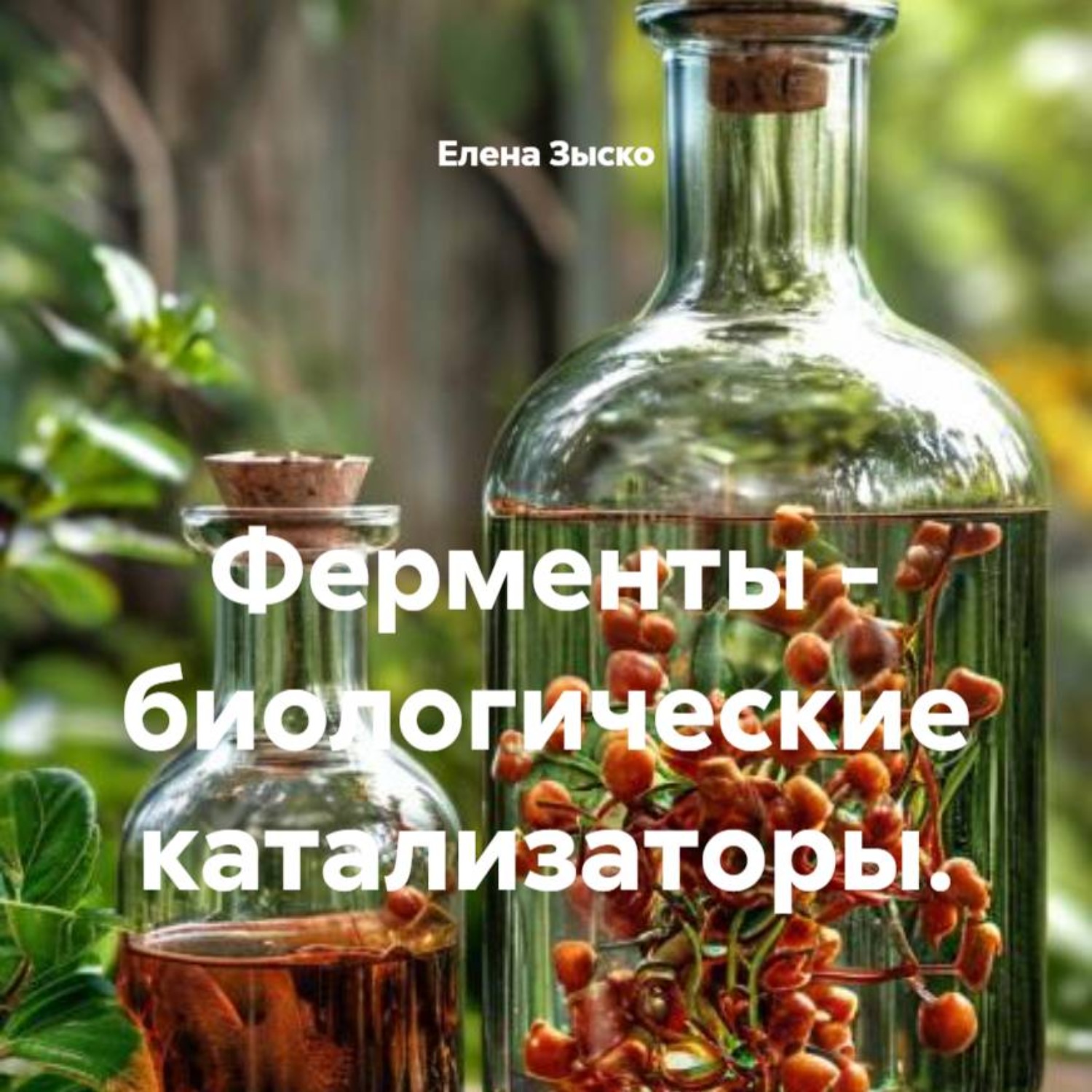 Обложка книги «Ферменты – биологические катализаторы.»