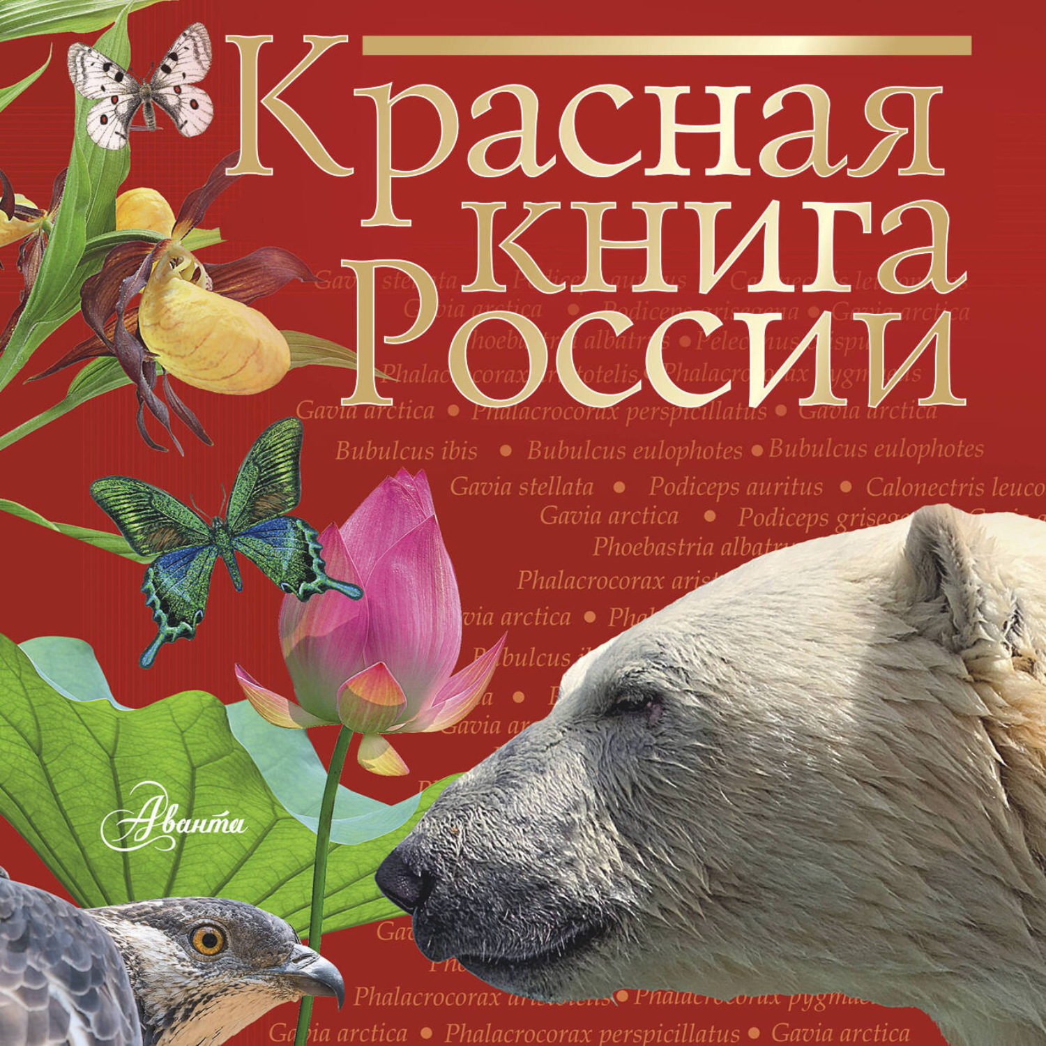 Обложка книги «Красная книга России»