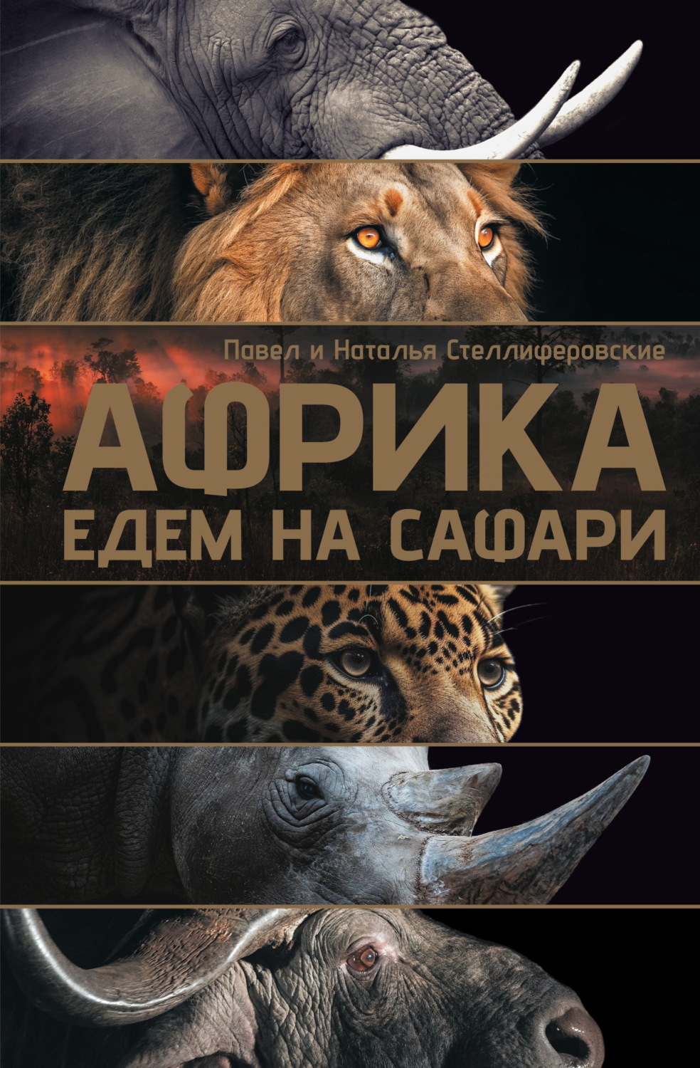 Обложка книги «Африка. Едем на сафари»
