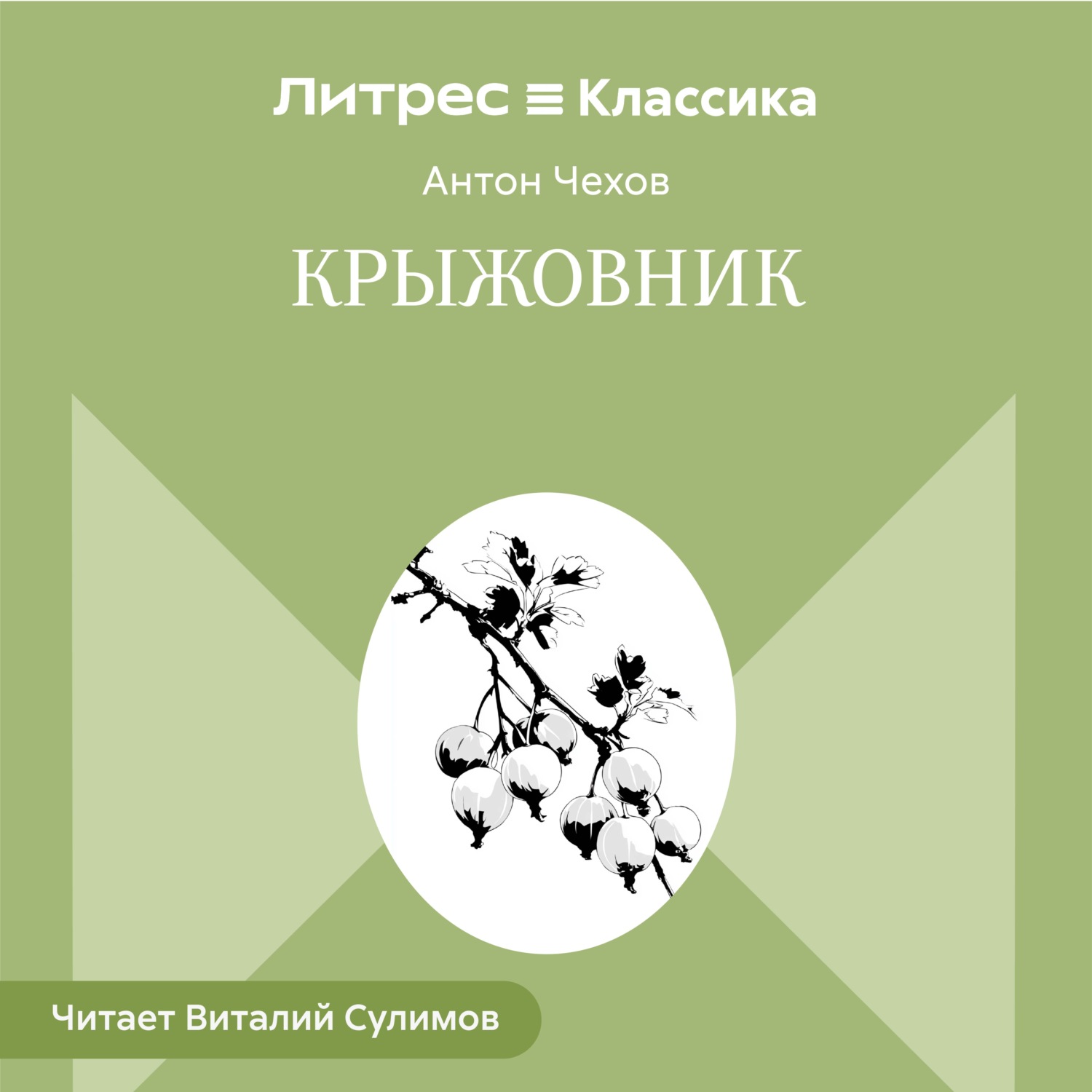 Обложка книги «Крыжовник»