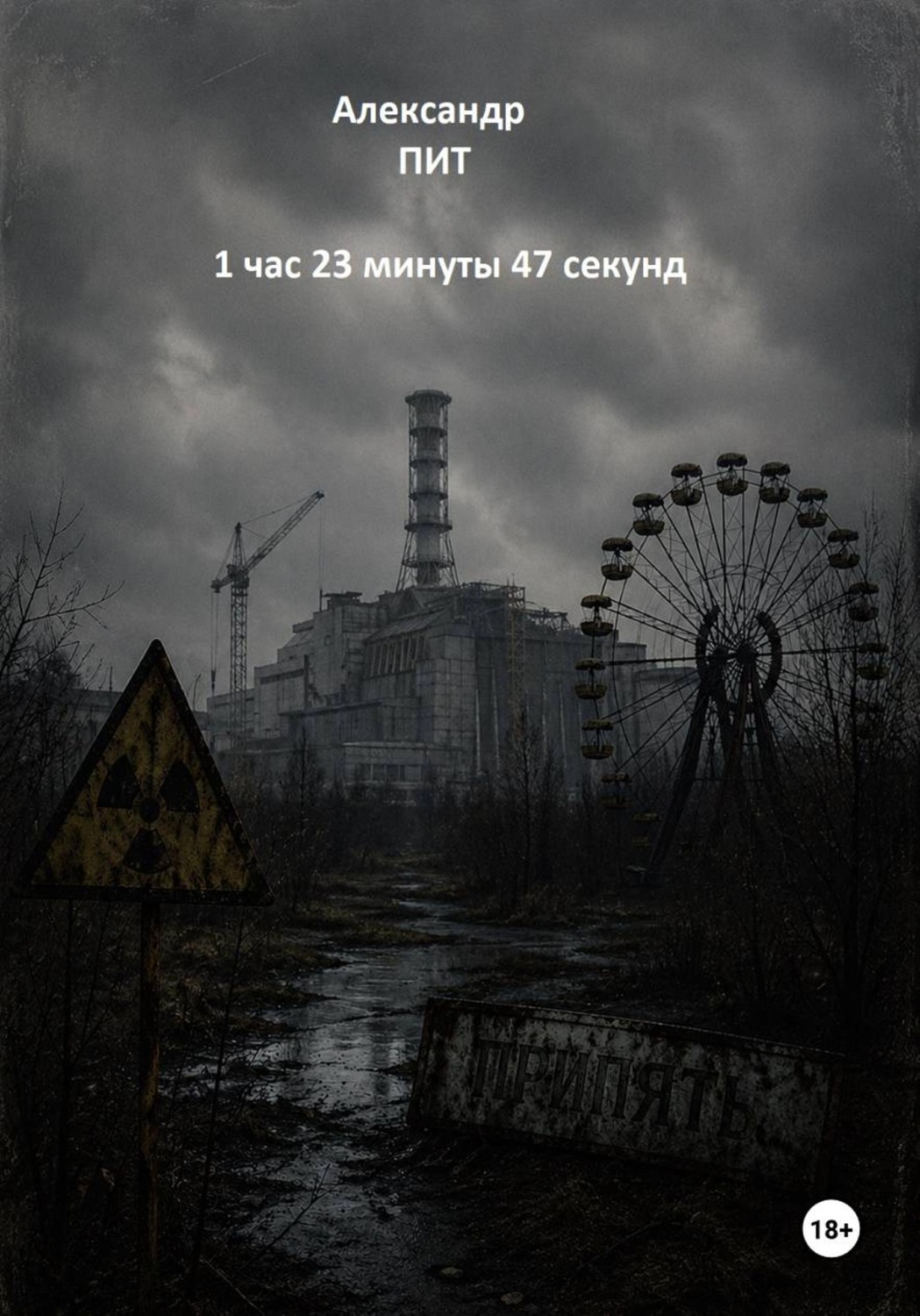 Обложка книги «1 час 23 минуты 47 секунд»