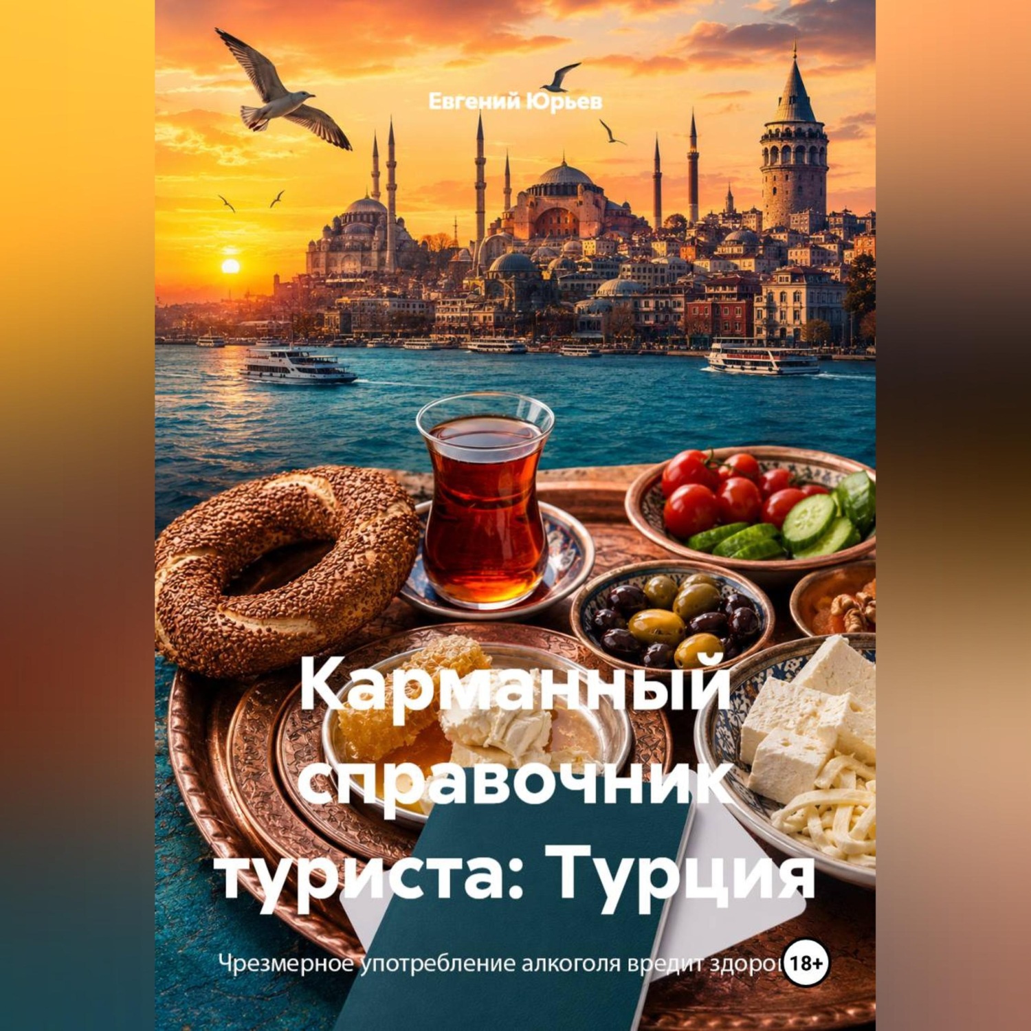 Обложка книги «Карманный справочник туриста: Турция»