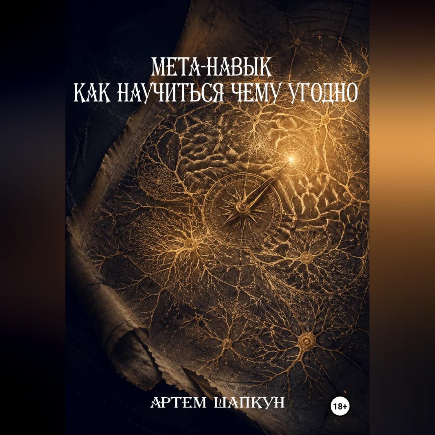 Обложка книги «МЕТА-НАВЫК КАК НАУЧИТЬСЯ ЧЕМУ УГОДНО»
