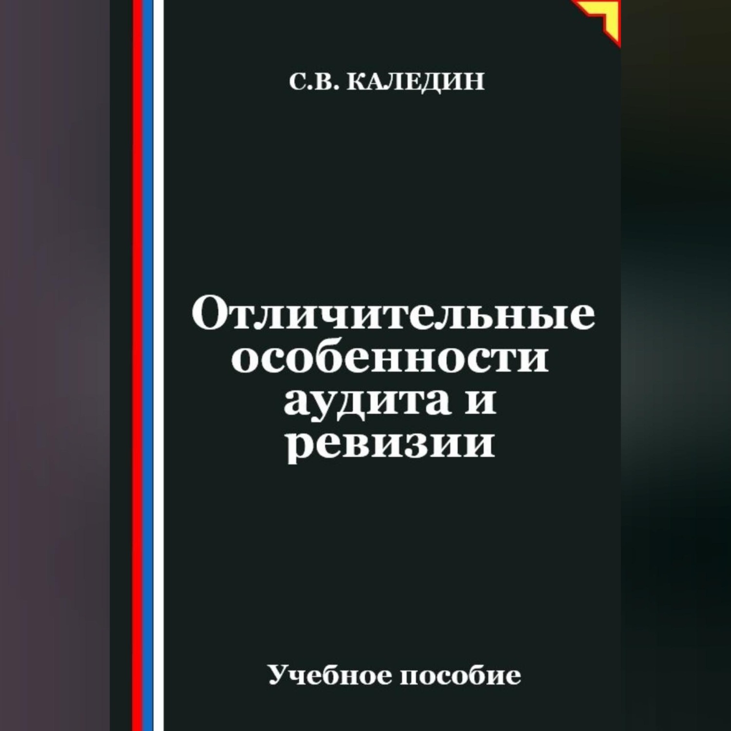 Обложка книги «Отличительные особенности аудита и ревизии»