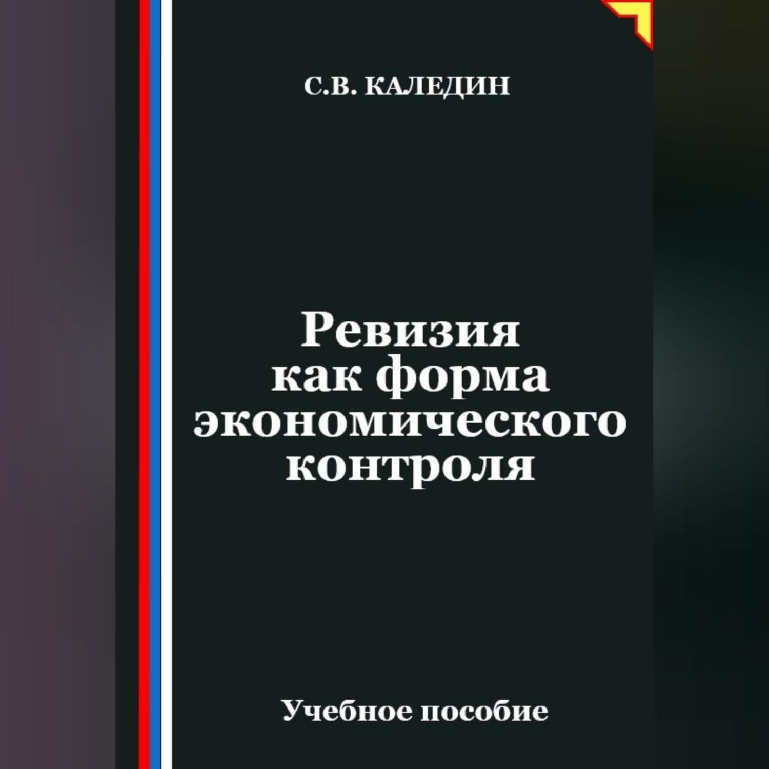 Обложка книги «Ревизия как форма экономического контроля»