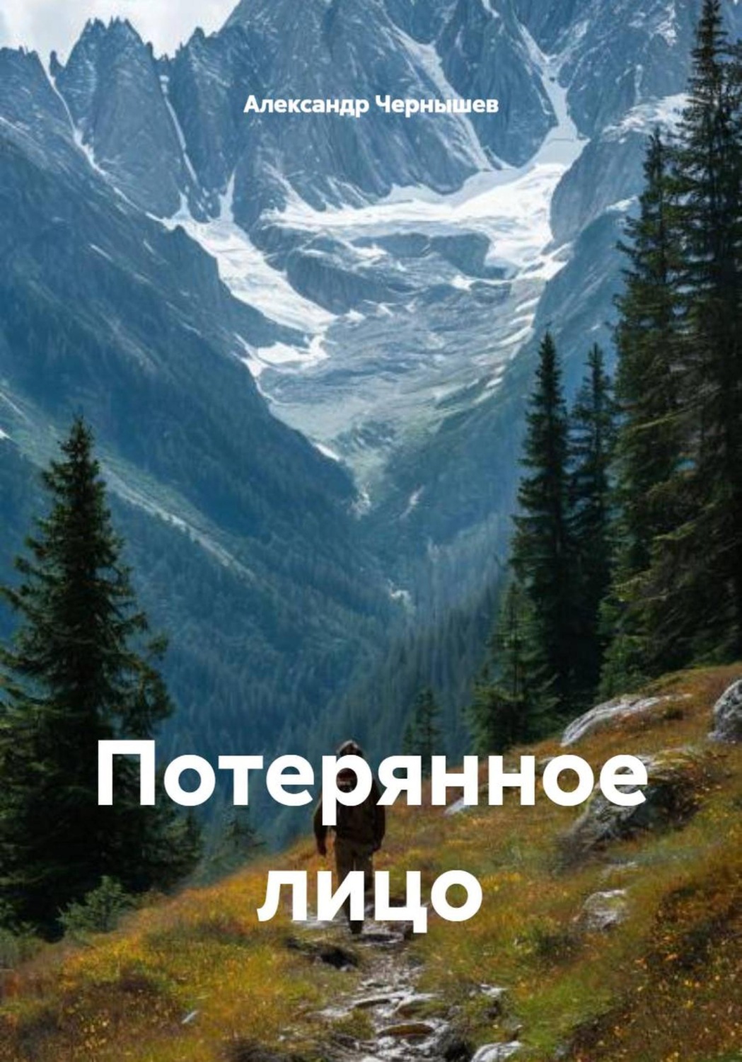 Обложка книги «Потерянное лицо»