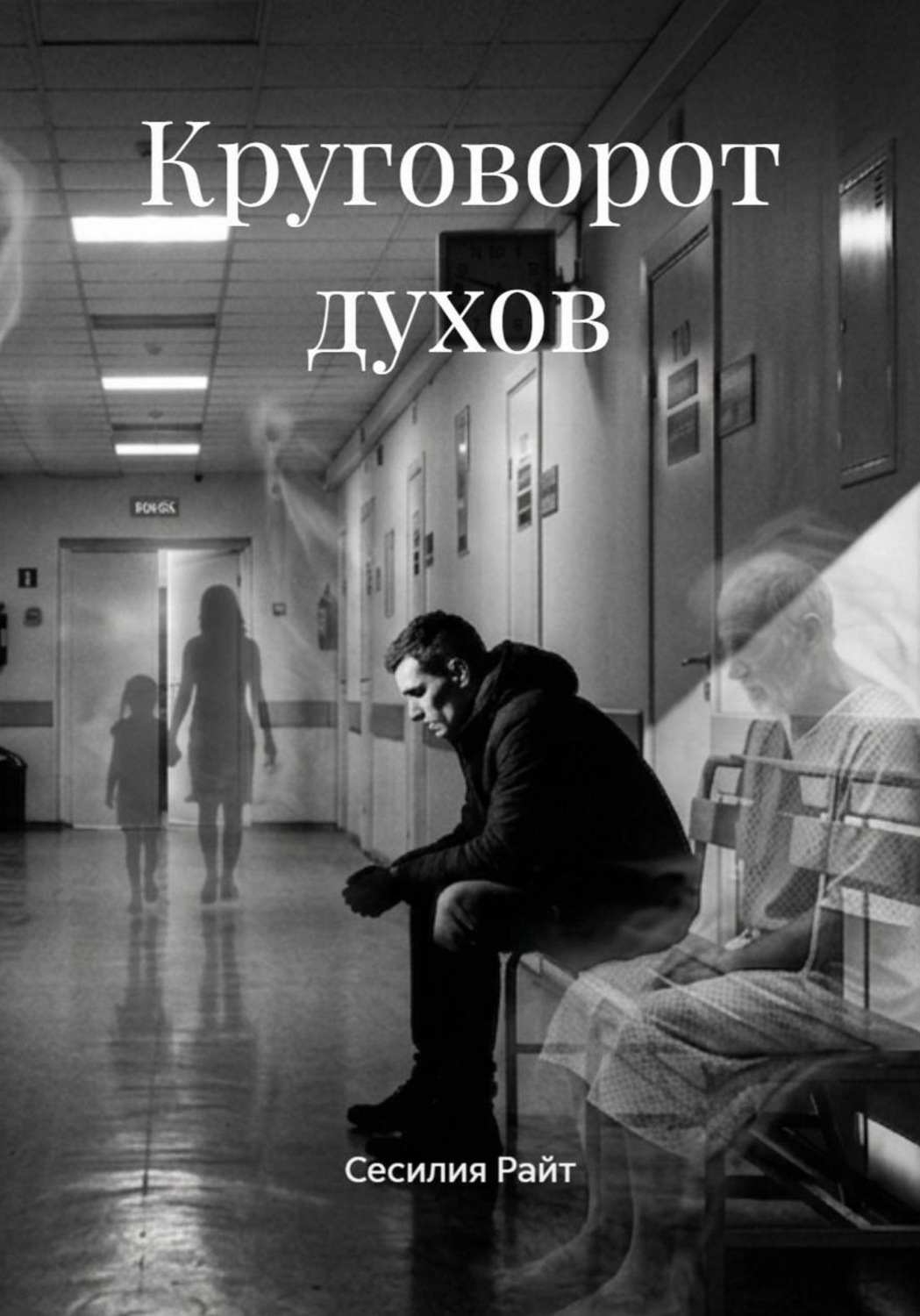 Обложка книги «Круговорот духов»